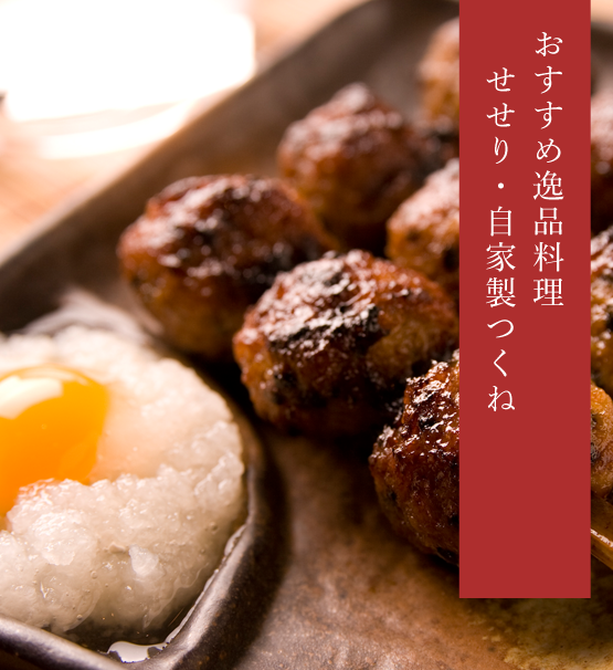 和歌山市駅から徒歩７分　本格炭火焼鳥専門店　鳥九